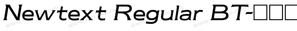 Newtext Regular BT字体转换